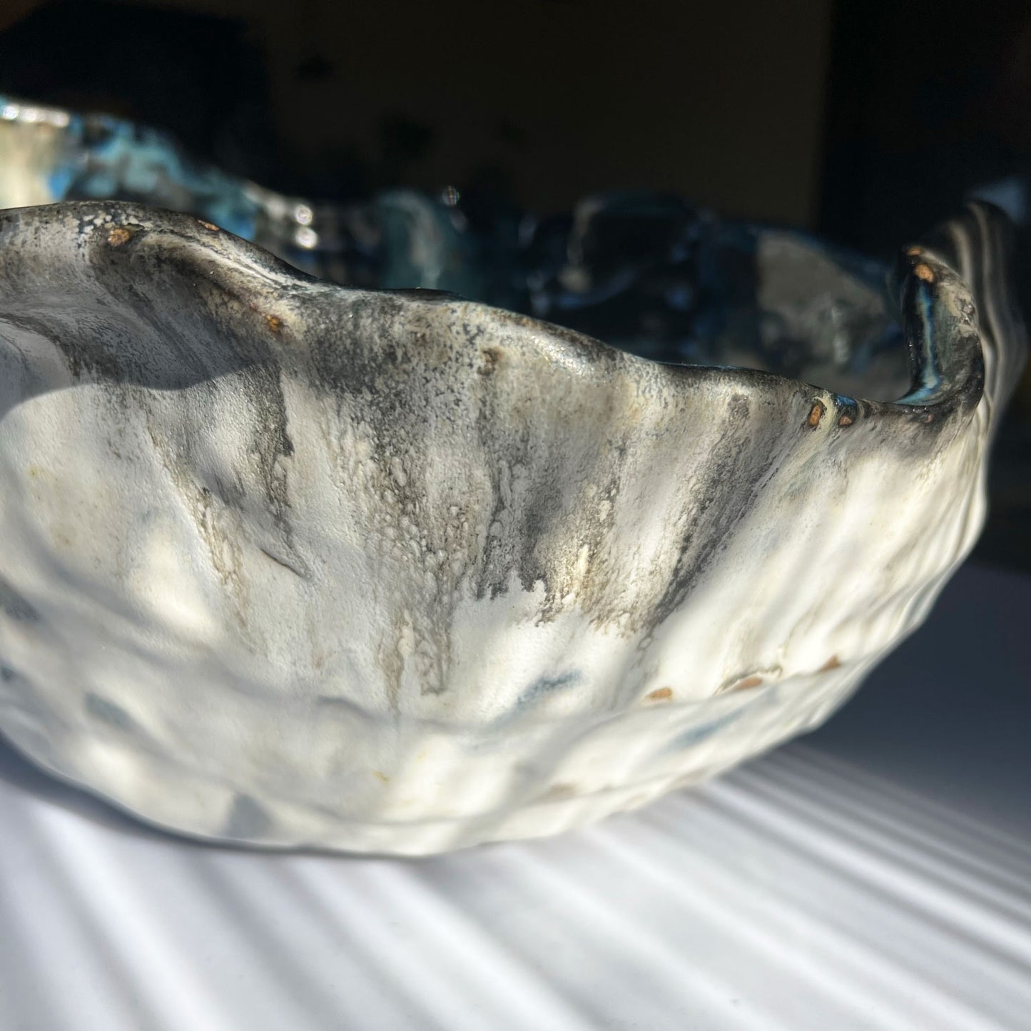 Giant Clam Bowl